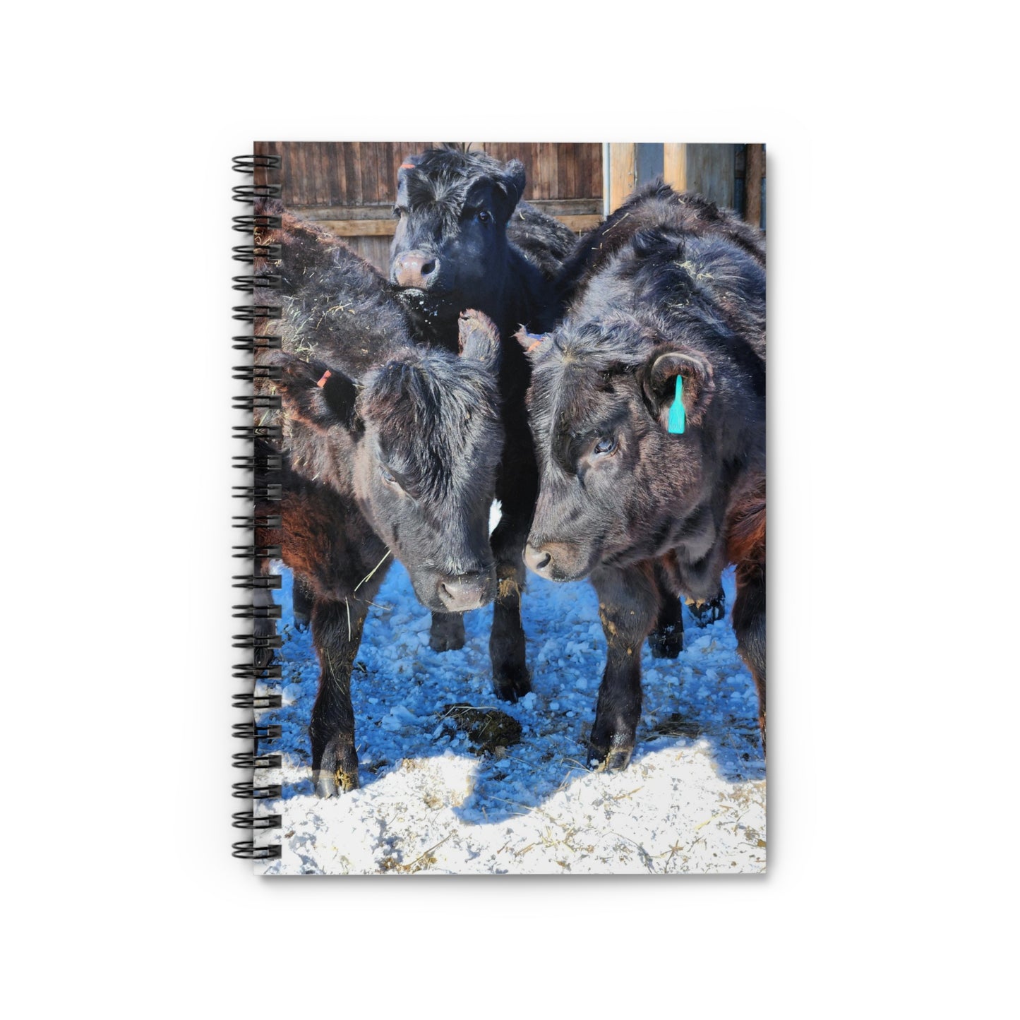 Cow Spiral Notebook