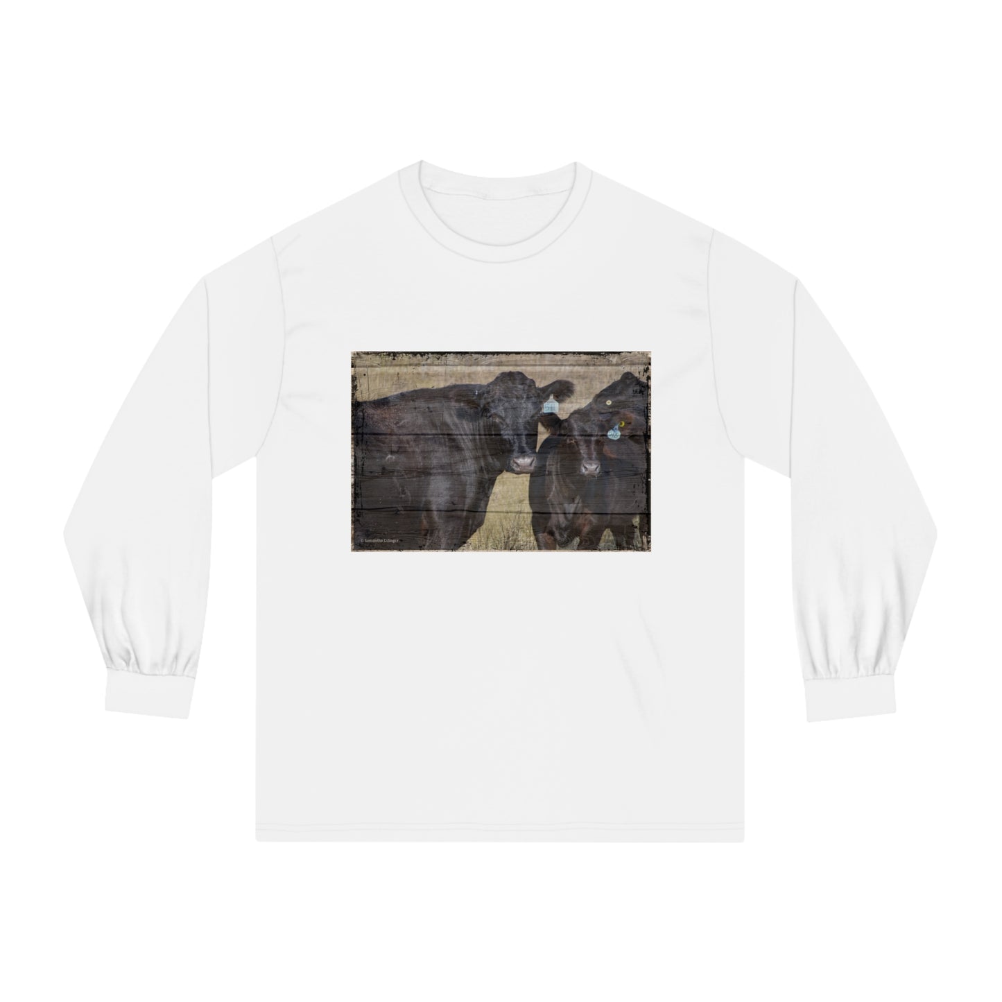 Black Angus Cow and Calf Unisex Classic Long Sleeve T-Shirt