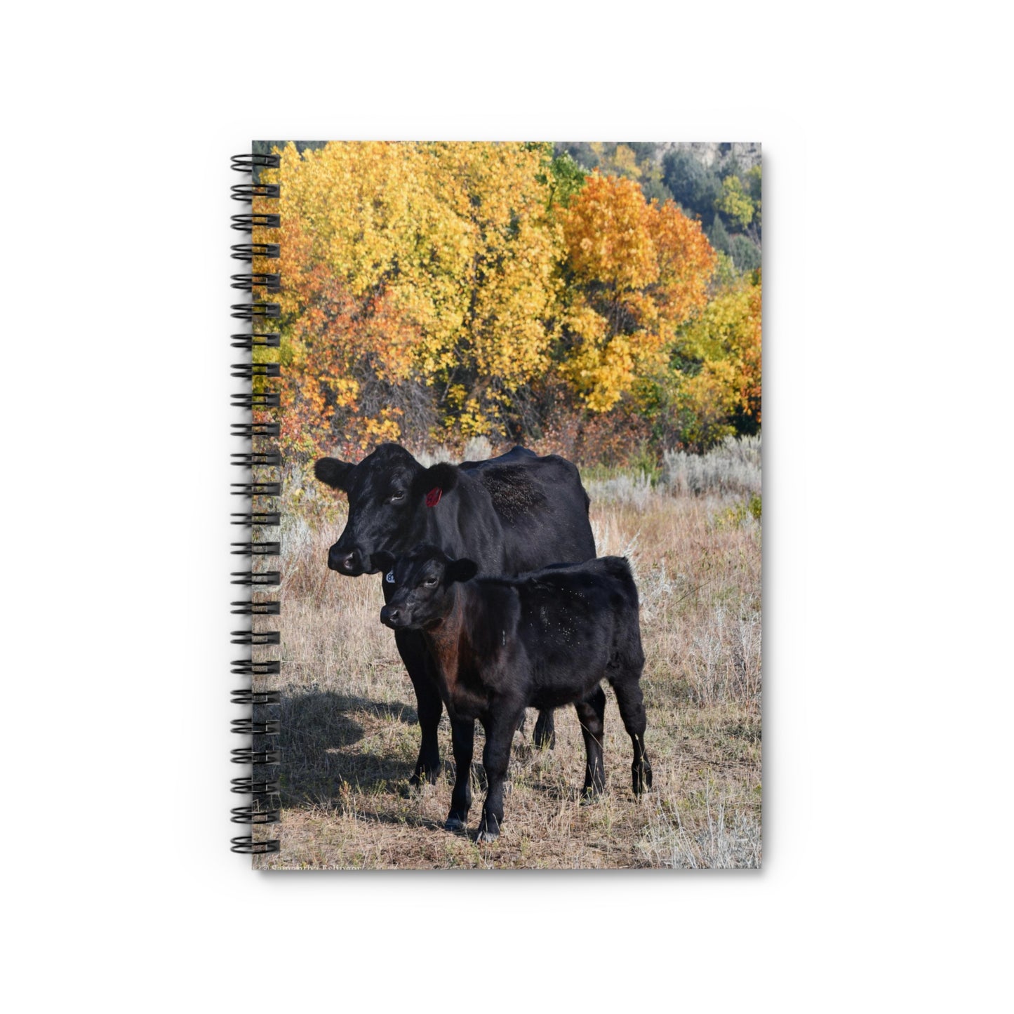 Angus Mama Cow and Calf Spiral Notebook - Ruled Line