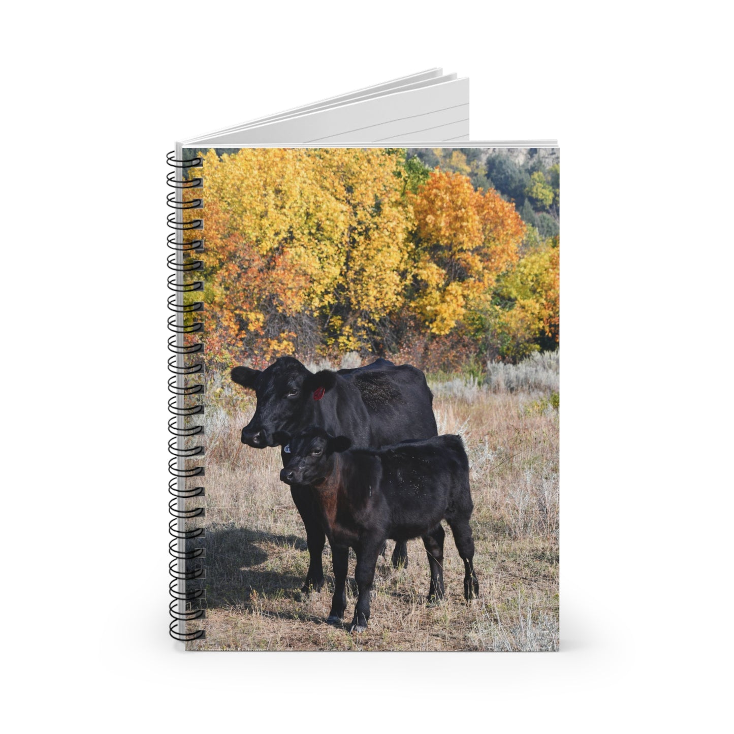 Angus Mama Cow and Calf Spiral Notebook - Ruled Line