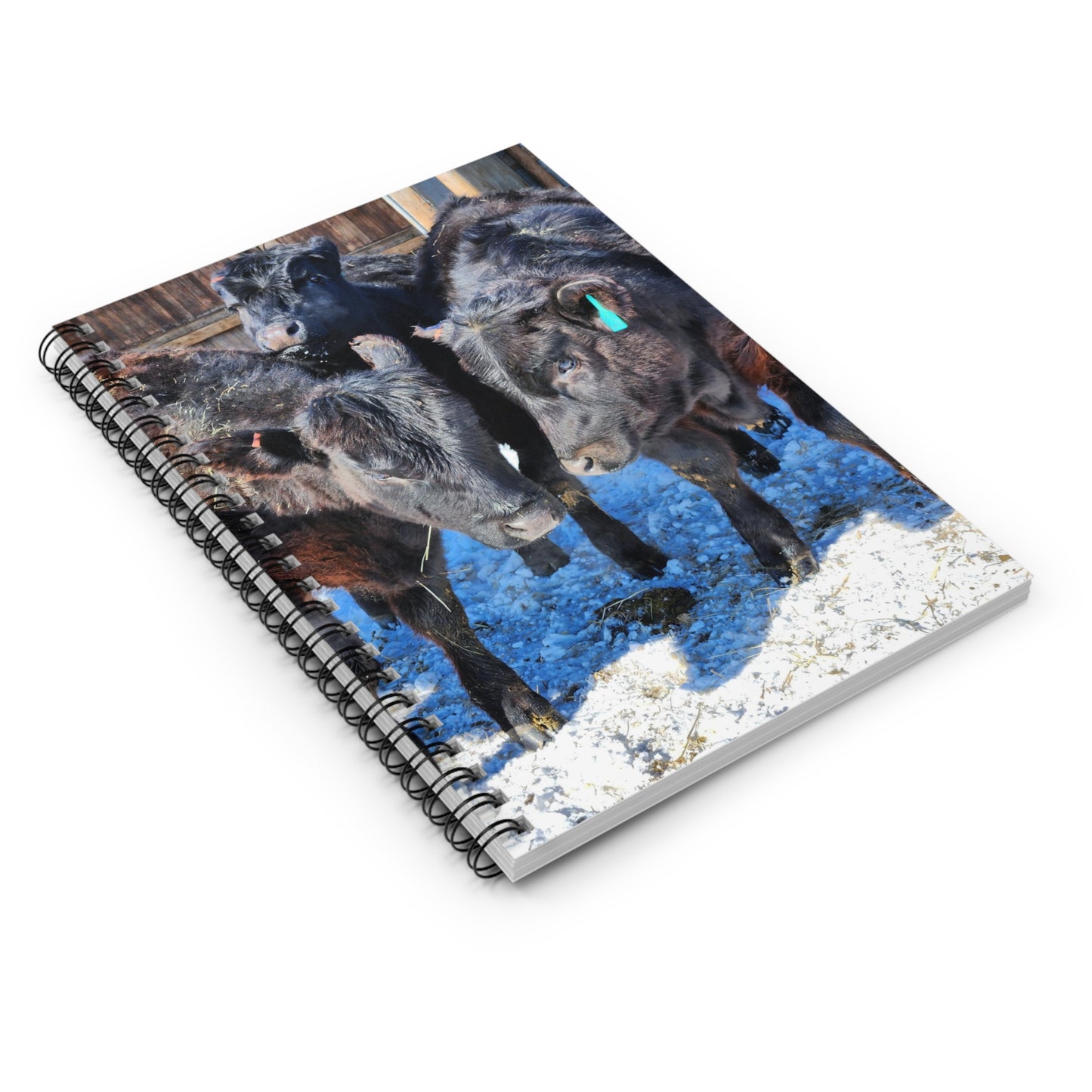 Cow Spiral Notebook