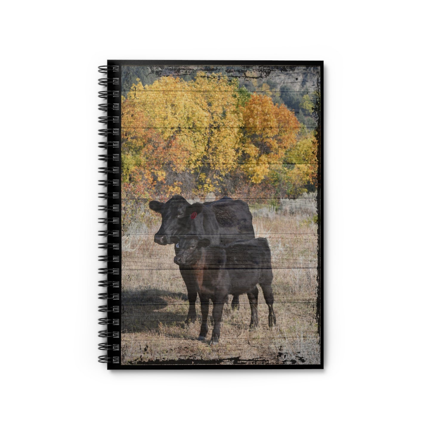 Wood Grain Angus Mama and Calf Spiral Notebook - Ruled Line