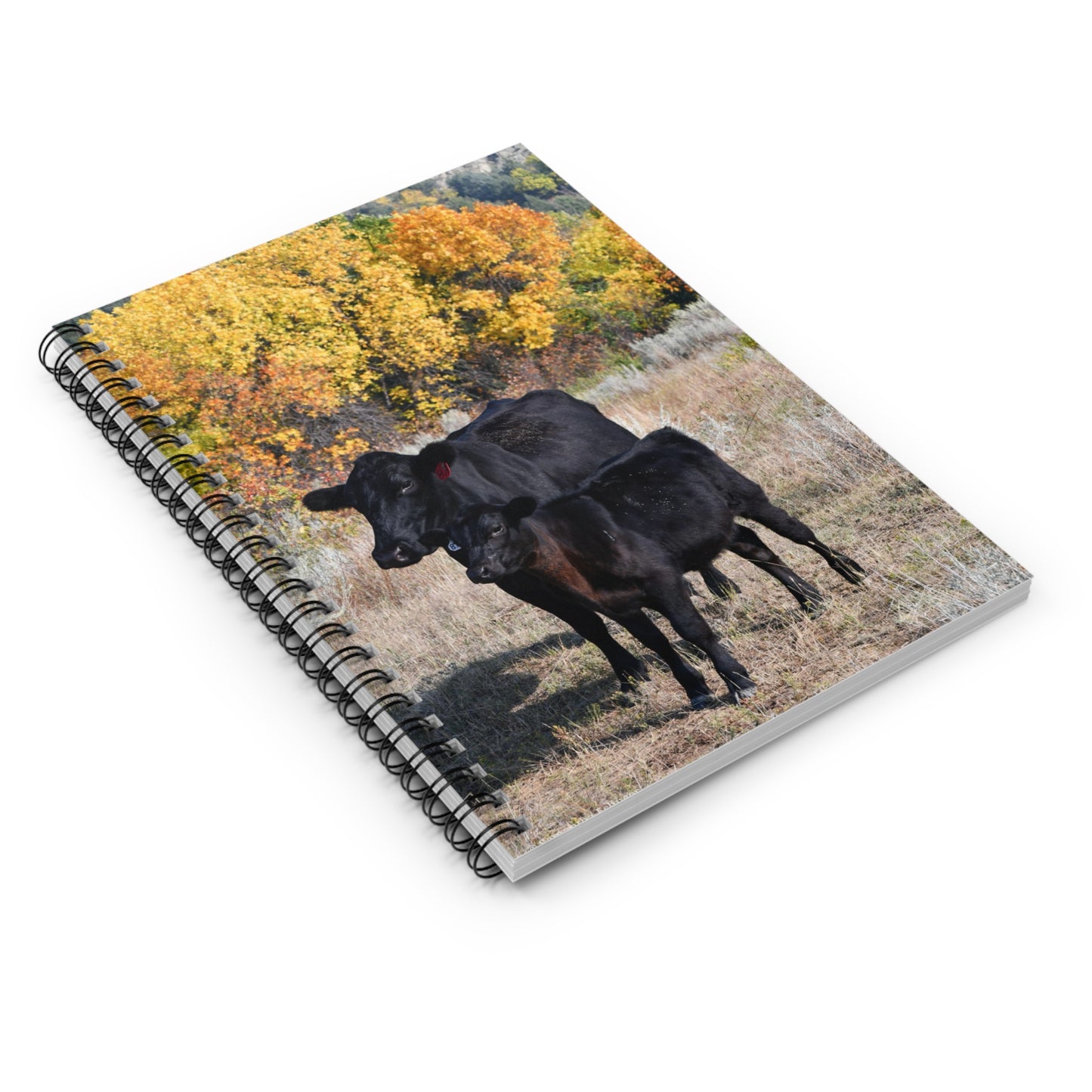 Angus Mama Cow and Calf Spiral Notebook - Ruled Line