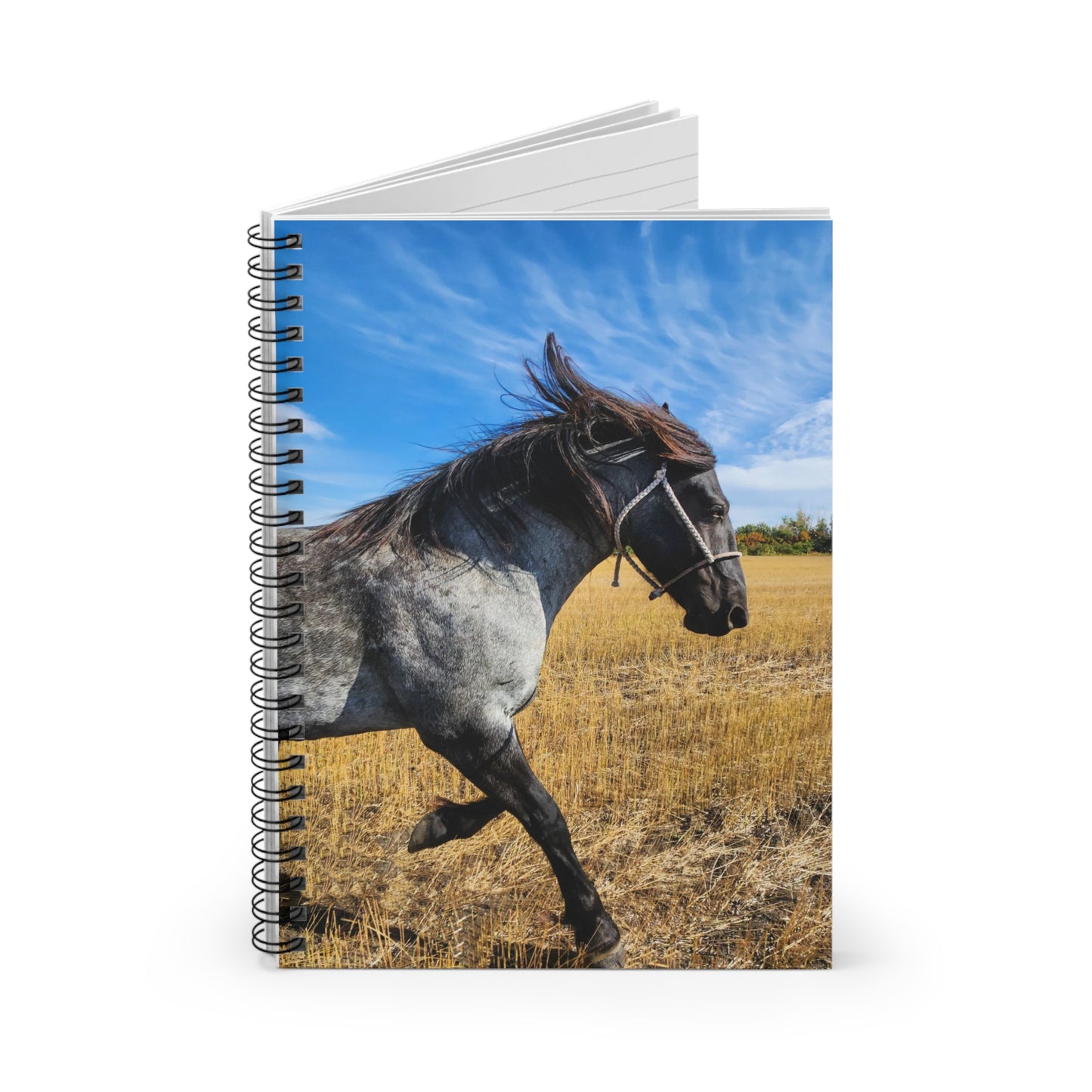 Horse Spiral Notebook