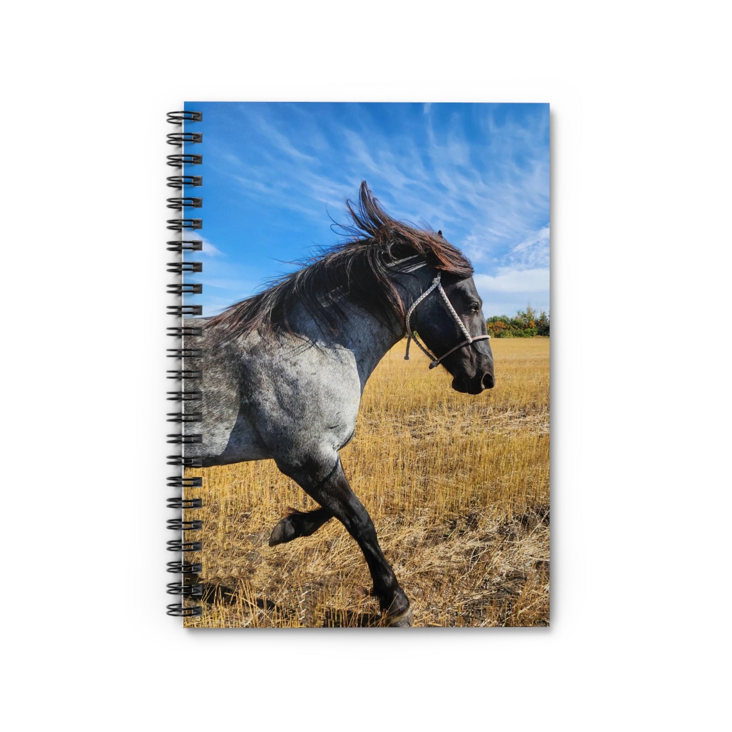 Horse Spiral Notebook