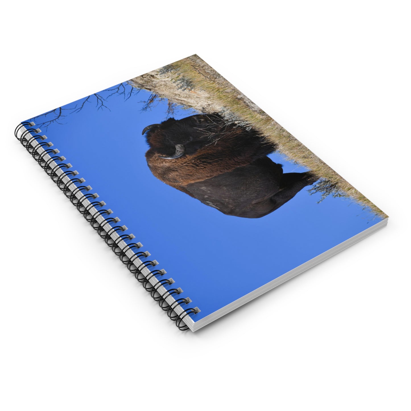 Wild Buffalo Spiral Notebook - Ruled Line