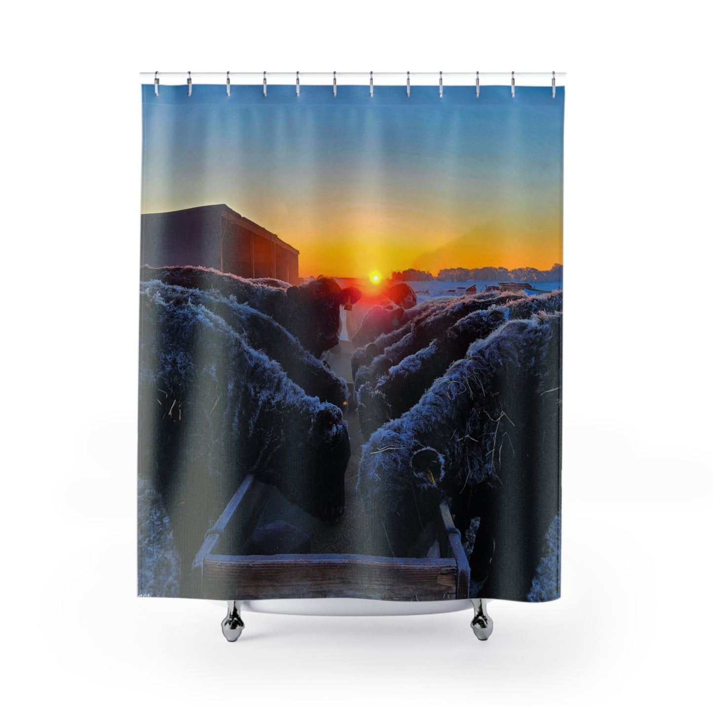 Sunrise Heifers Shower Curtains