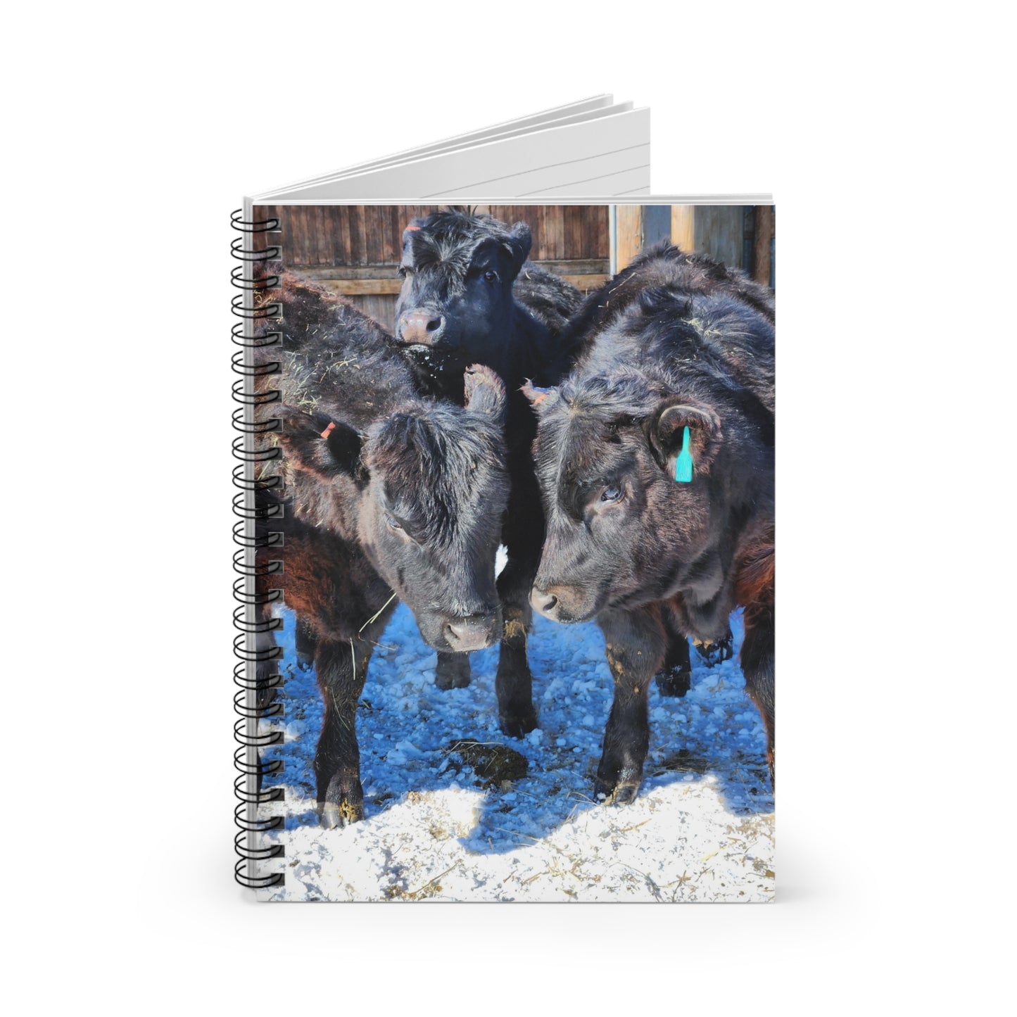 Cow Spiral Notebook