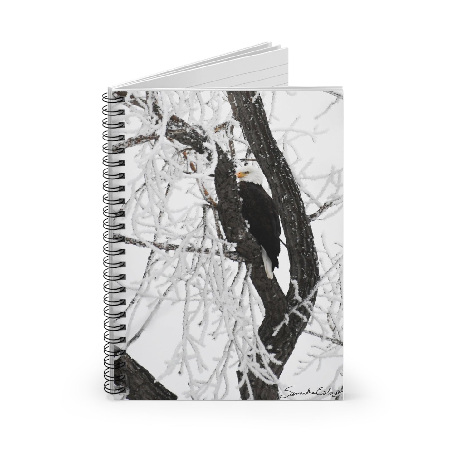 Bald Eagle Spiral Notebook