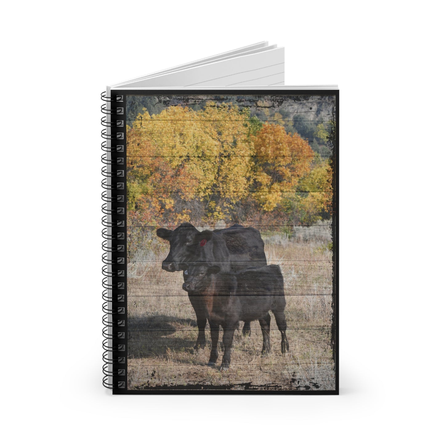 Wood Grain Angus Mama and Calf Spiral Notebook - Ruled Line