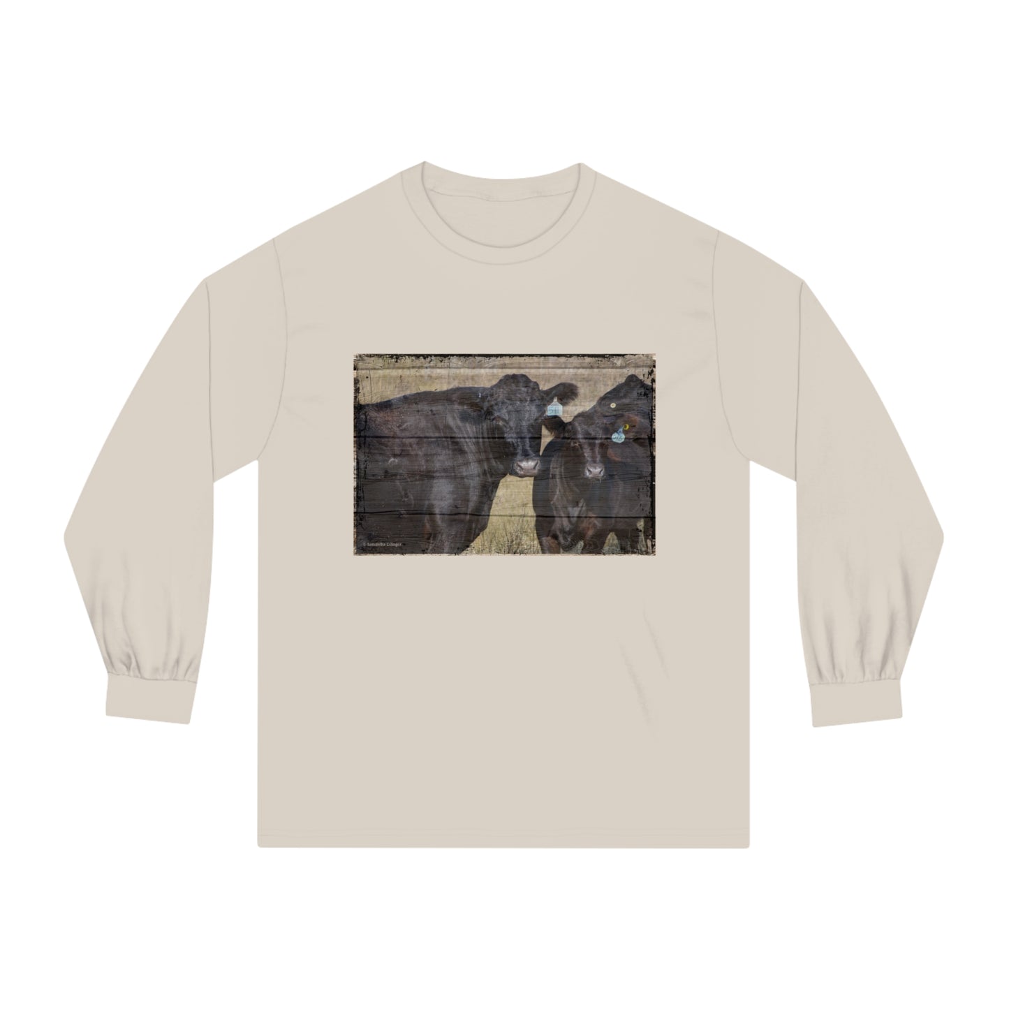 Black Angus Cow and Calf Unisex Classic Long Sleeve T-Shirt