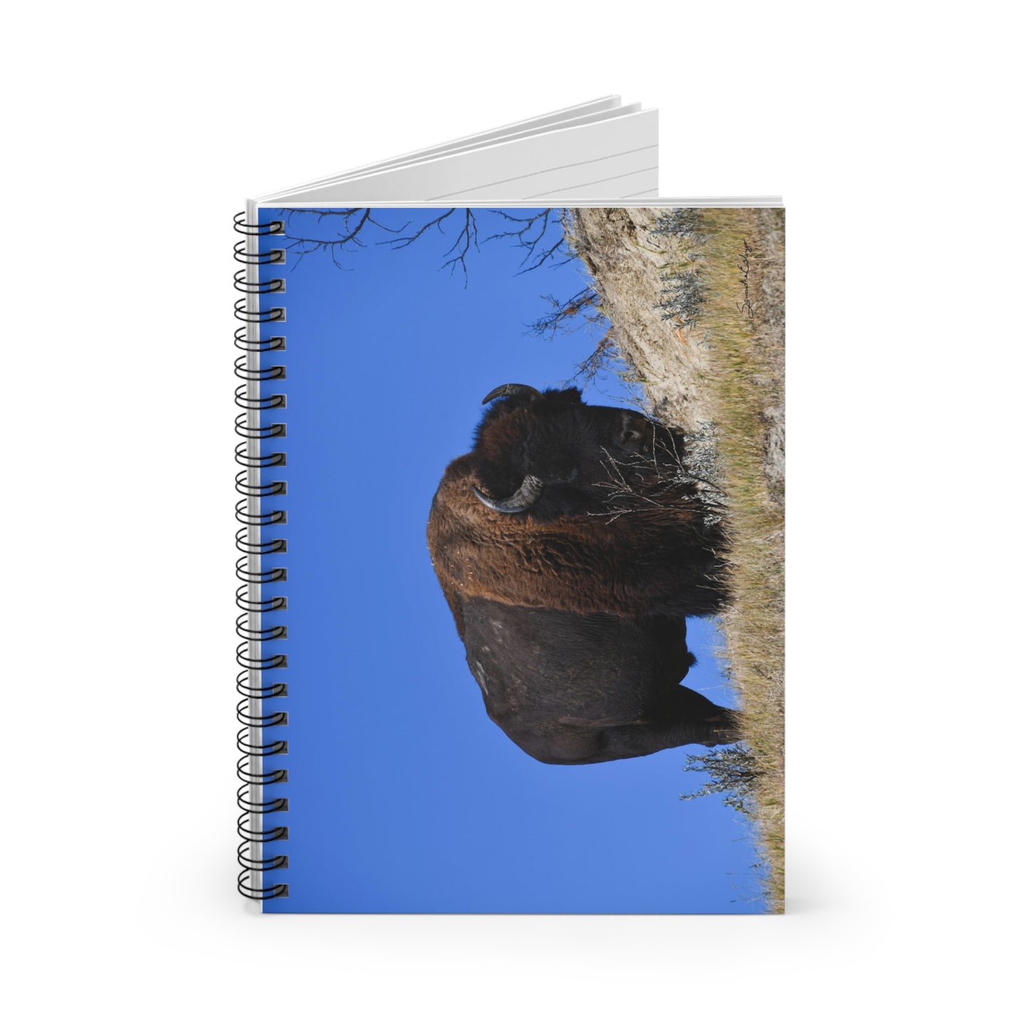 Wild Buffalo Spiral Notebook - Ruled Line